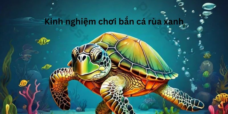 Kinh nghiệm bắn cá rùa xanh
